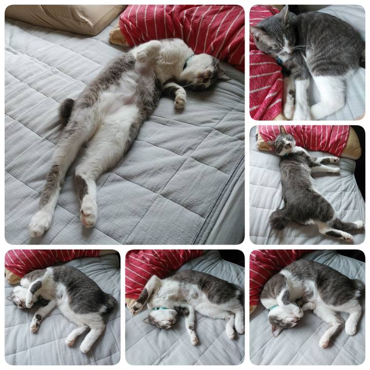 E396a7b8 59ff 4e9a be08 eb31fc2a0a8a 1589855126668