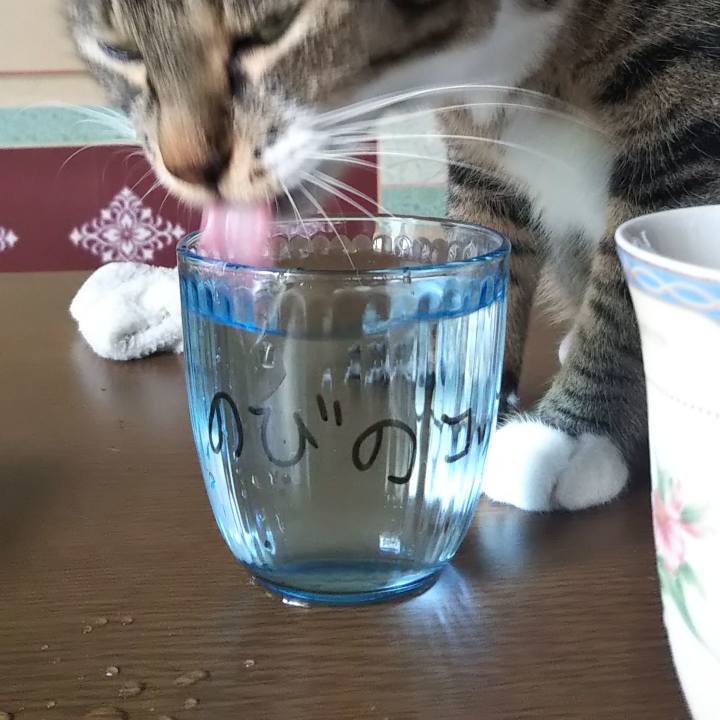 E396b61c f9d1 4323 ae39 0770e2e0932b 1600856724833