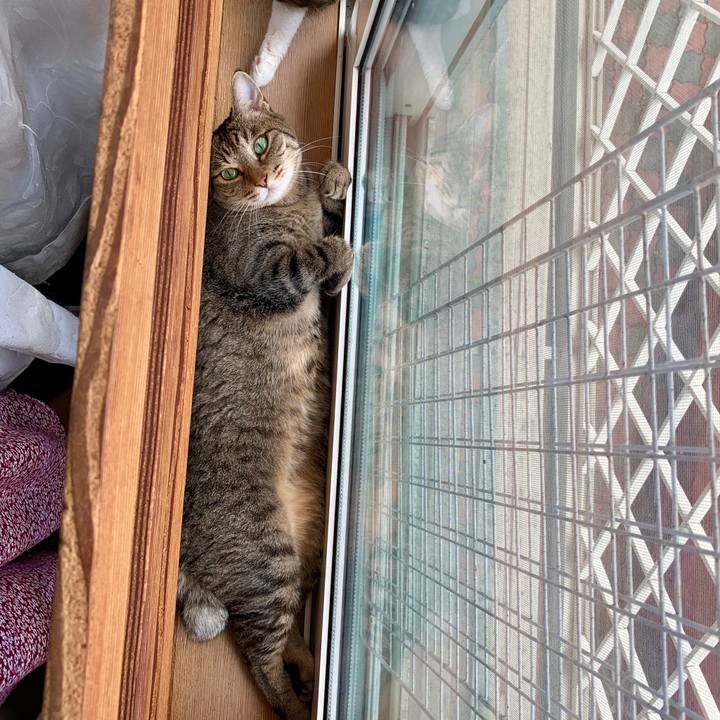 E397038f 99ea 4218 aea1 4b689b9b39a1 1563934160461