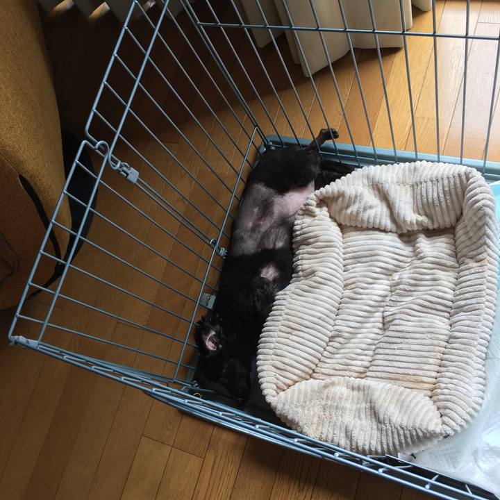 E3973796 ef4d 4e75 8a04 60a033221858 1537312126853