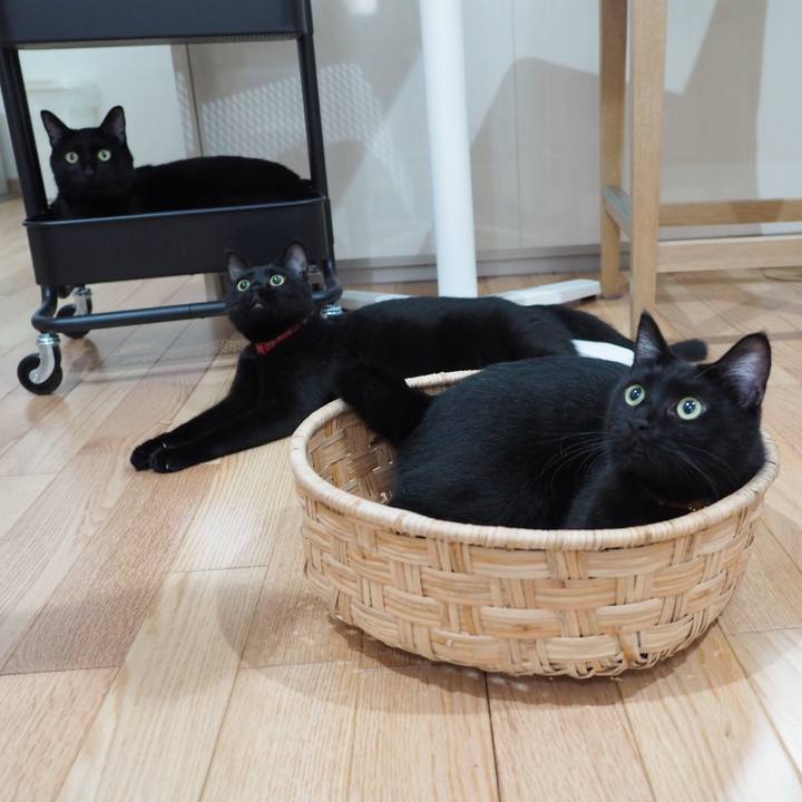 E3974867 cd81 44b8 b3cf 326f123aeeec 1536456099480