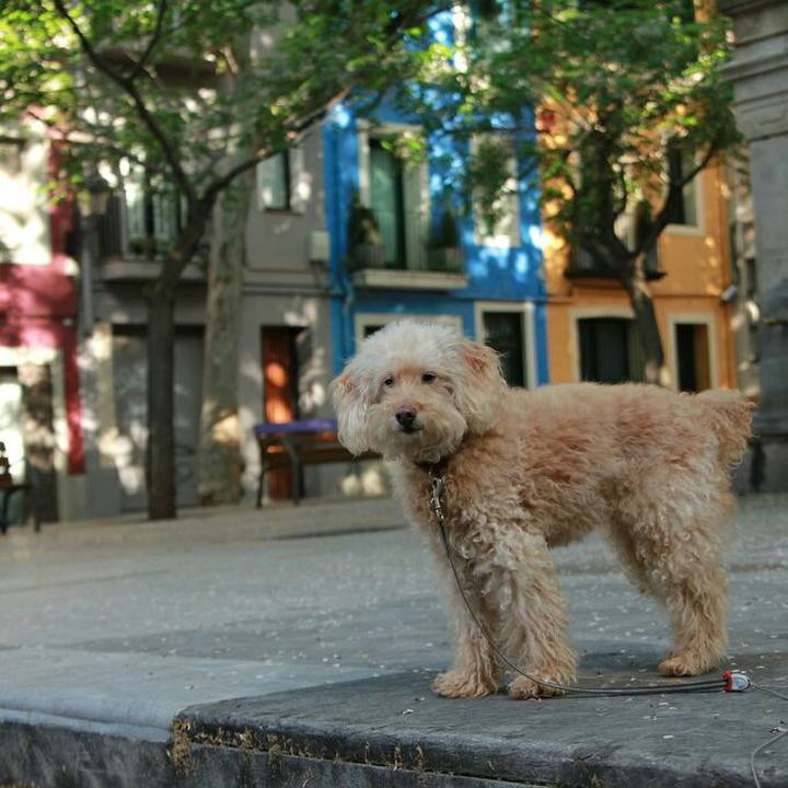 E3975570 3b17 4d3e b1b9 88f8045a65e2 1589553620555