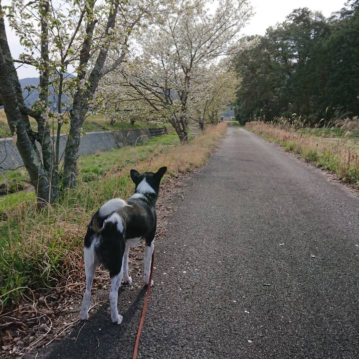 E3977cdf e329 42cb 9d01 5058b406194f 1523578090915