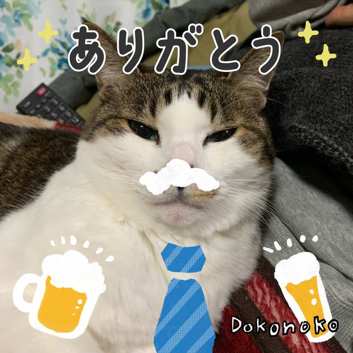E397b048 7093 4d3c 92b0 c9eafadb089b 1717594559692