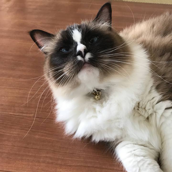 E397c7b2 fa48 4f02 8227 db88d7df7e04 1515807479338