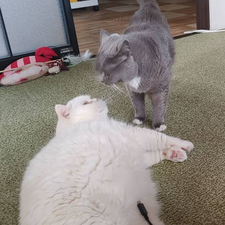 E397d3e5 e4a7 4f04 98cb aa86c12e60a3 1751784547345