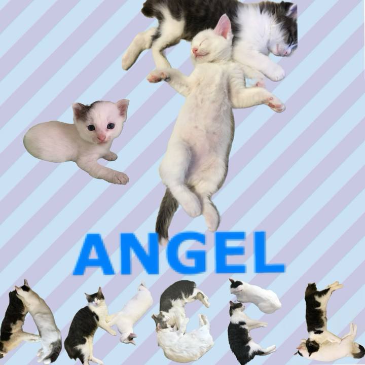 E397d72d 9541 48e0 bdad aa6a845b51ab 1668553152443