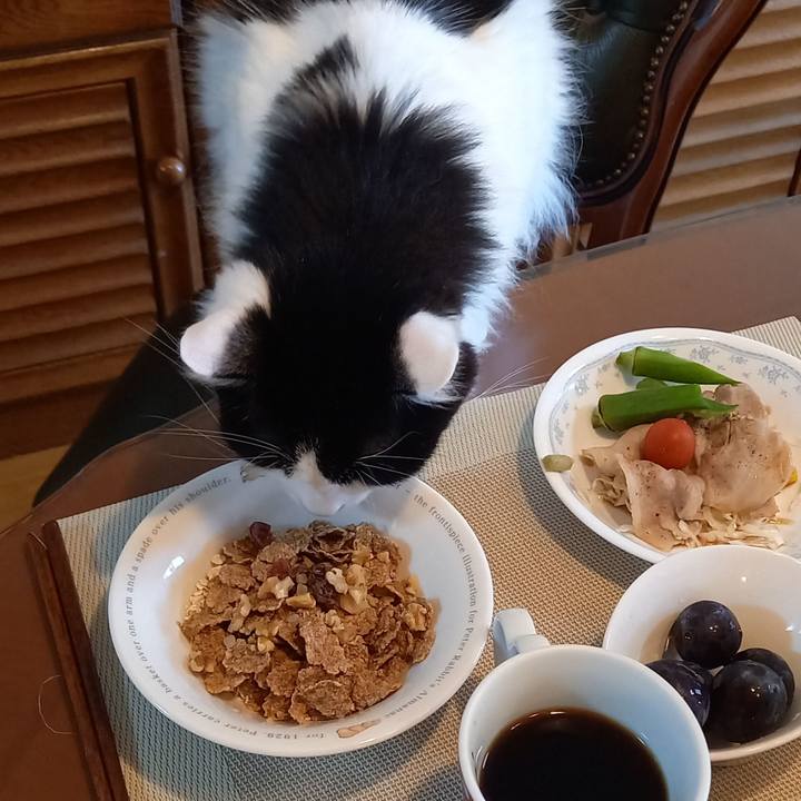 E397e615 7246 4a37 9ac0 4ea164c9ffac 1629328046835