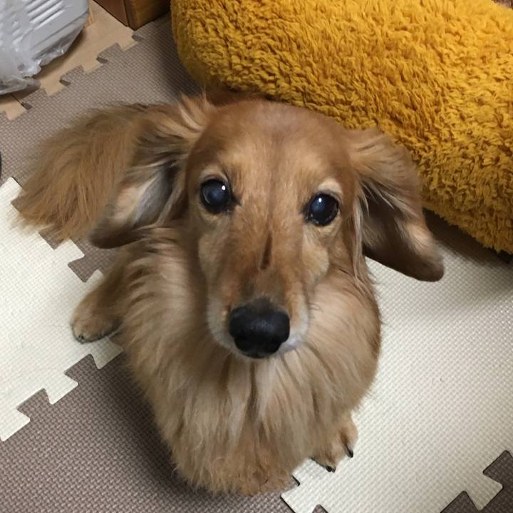 E3981a64 5de6 4383 9e73 7933433af4a1 1613310256567