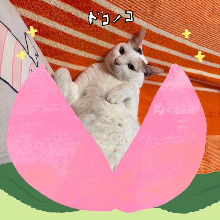 E3982af4 8d43 40f5 96ba 0df4e23ff0f4 1771814485673