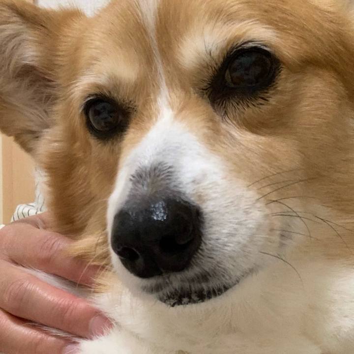 E398d5fb 4b5b 4ab2 9730 8d1d638acd2d 1712312820330