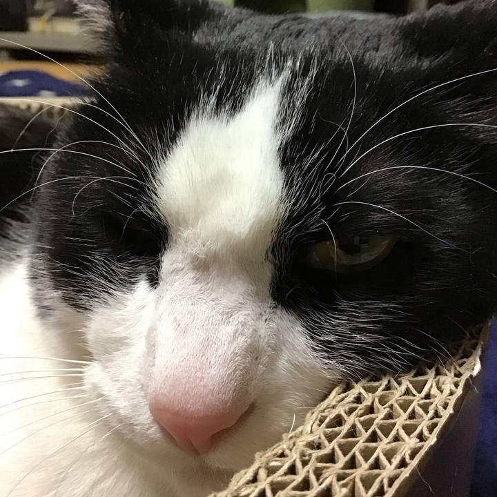 E398e343 ea85 4854 a448 4615a450a98d 1710756701350