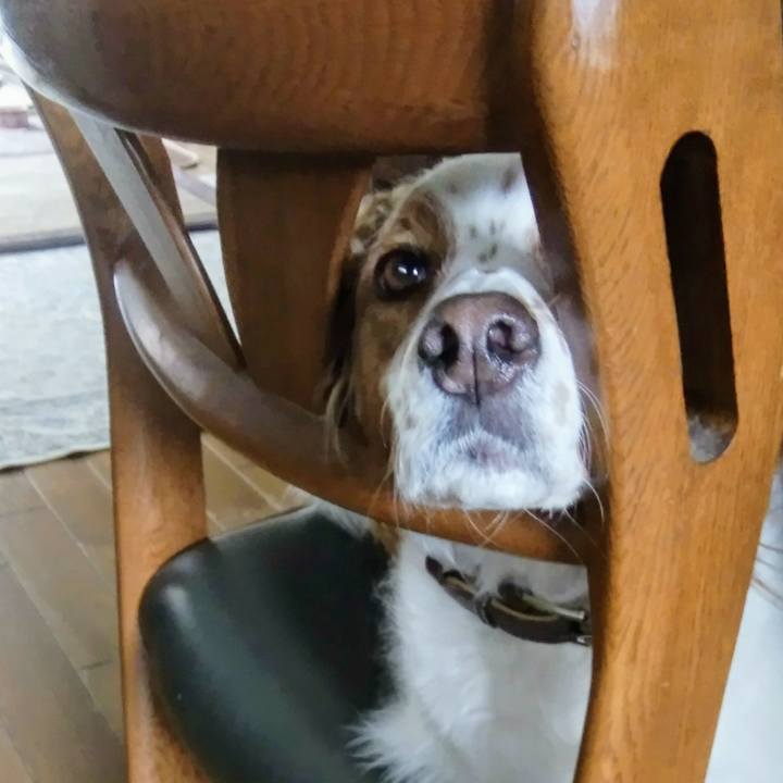 E398f480 14b2 4818 b145 44f6ceb0b774 1539584000383