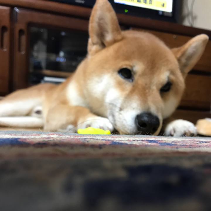 E3995770 367f 49b7 928f 7ffe1ab7891c 1551999221363