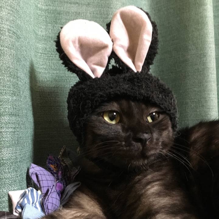 E39967dd 7e14 4363 bcdf f099d19cef5e 1565585397640