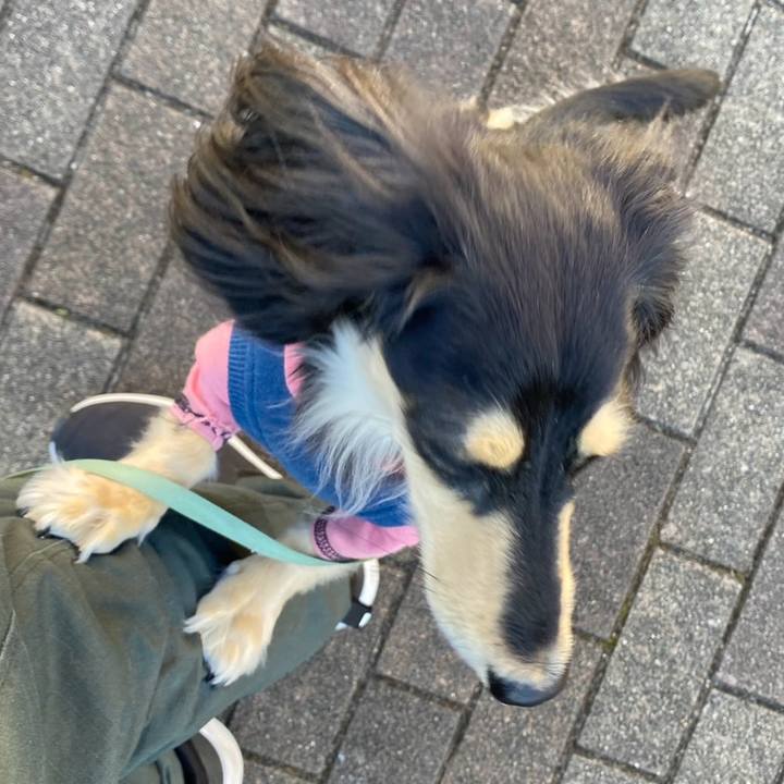 E399766b c3b6 4c71 97bb e410ae269f2f 1765077426928