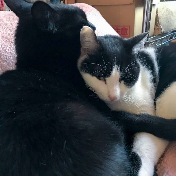 E399afe1 2a01 419a 9384 989242426c5a 1510192100011