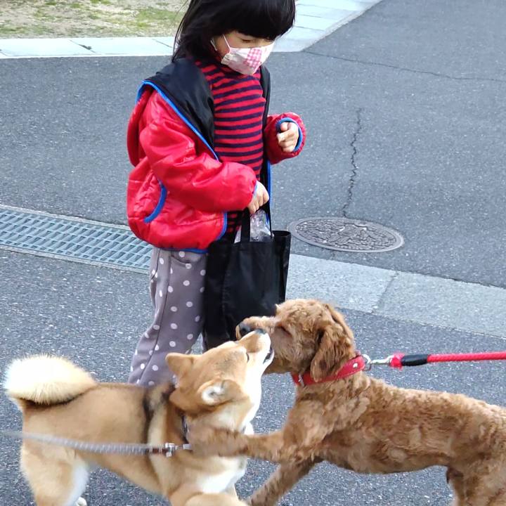 E399bf5d 6d2e 40ea b6ca 984d4ee2ee04 1642465462639