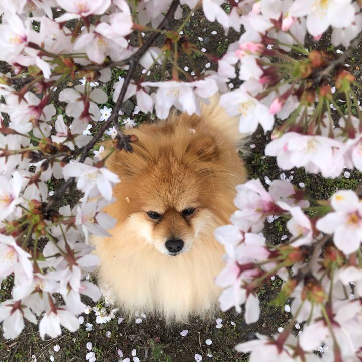 E39a0fe9 6a14 4162 b662 0ee60cbb6f45 1617501698743