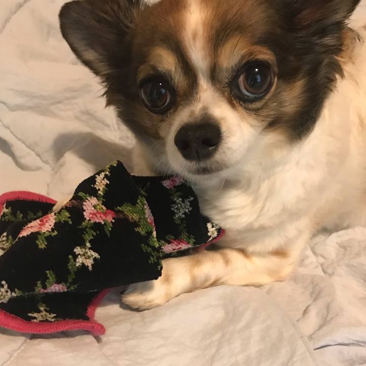 E39a3728 3eee 4e1c 82c7 3d698b2f26ef 1592229110195