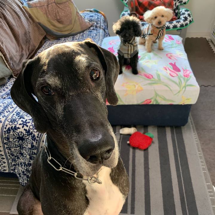 E39a6046 9dcf 4aec a94a b1676e34768b 1547679011245