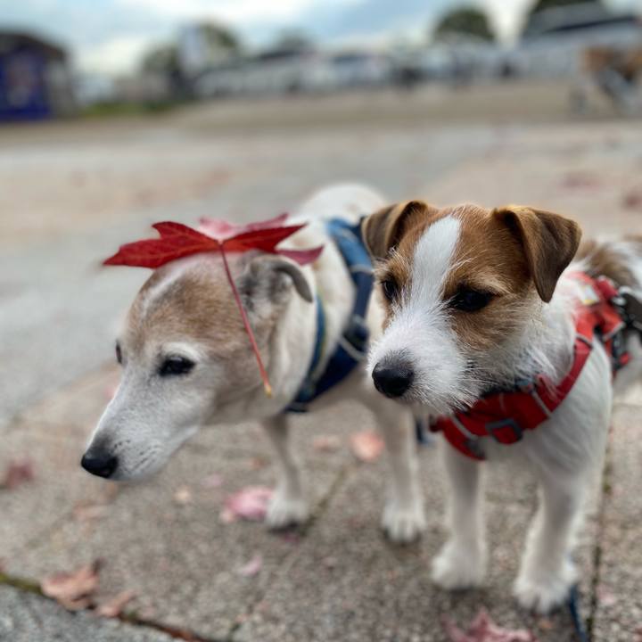 E39a616c cb83 4114 b352 250cfe29d82f 1668983973575