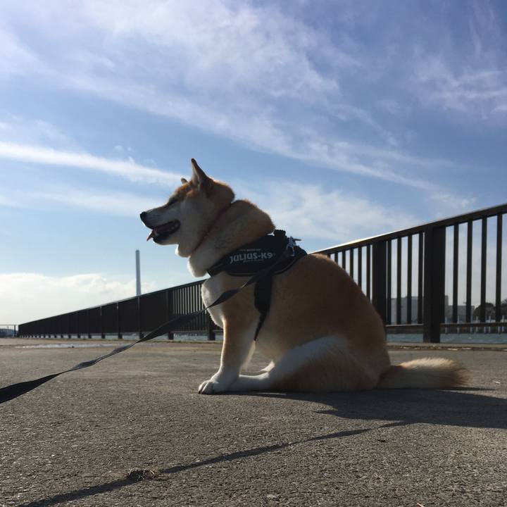 E39a64d6 962f 431a a4fb 8470d723e73b 1574056518874