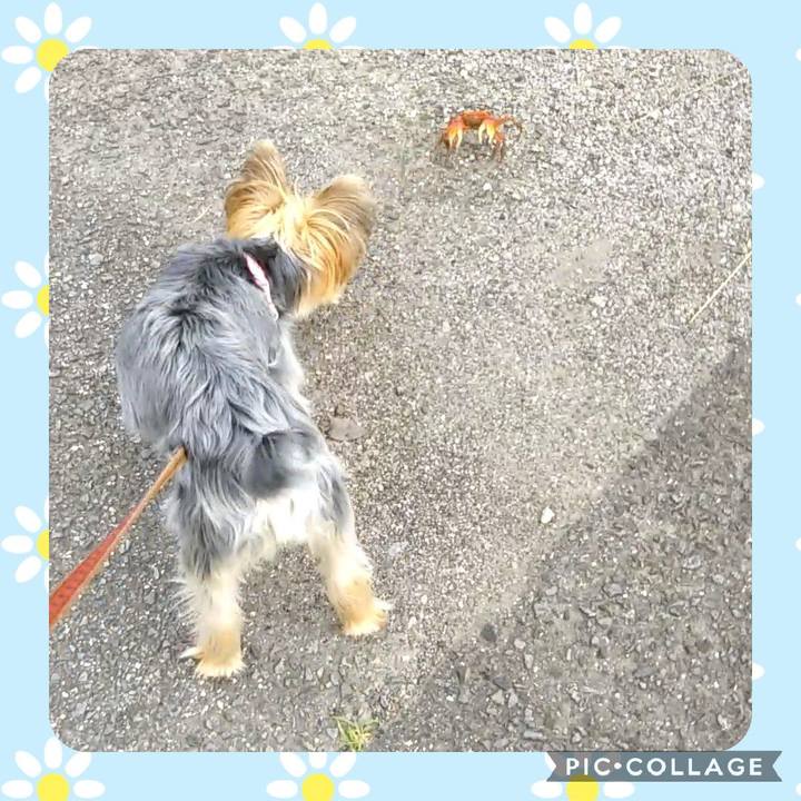 E39ab2ff de38 4538 8aa6 3c770db6d018 1595585784942