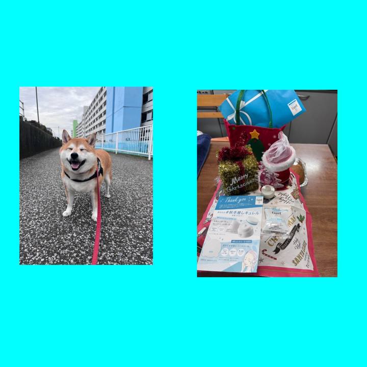 E39ad2aa d17f 486c 979e e13e9944995d 1669789143857