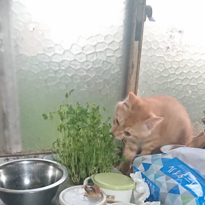 E39af5b1 ec12 425f a1e2 96ca7970e5c4 1630960618071