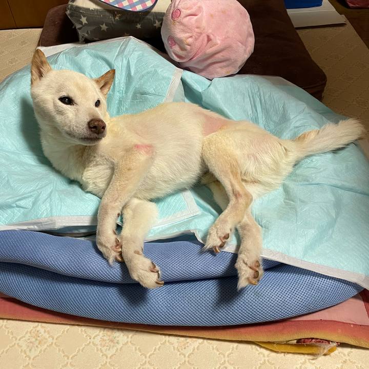 E39b2d4d 1166 46ef 8661 1d8f2da0e1af 1673951368287