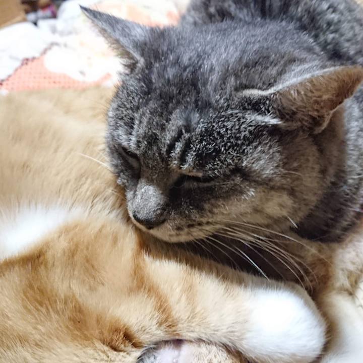 E39b7645 fba0 43b1 b354 c8569e19c35c 1605960175334