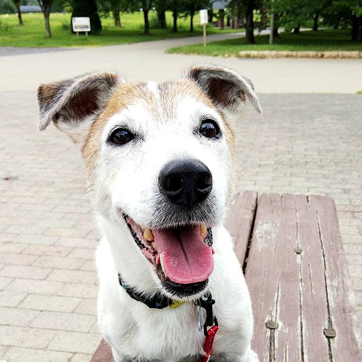 E39ba979 6b71 48fa bc06 5da7d688f543 1597270481878