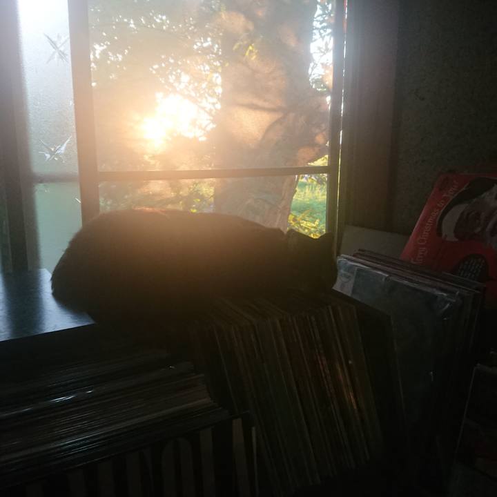 E39bce8f 41f6 4792 9fc8 b845a5151922 1660900672058