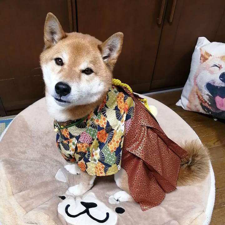 E39bd725 2c87 4058 9484 67120fdc2d47 1583130744258