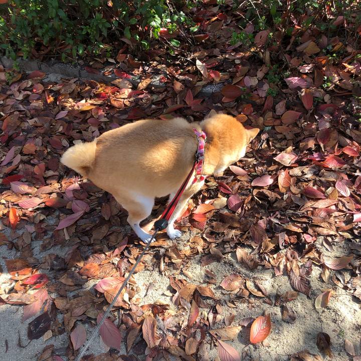 E39bd921 0713 4943 b119 05bae8aaf859 1606365370753