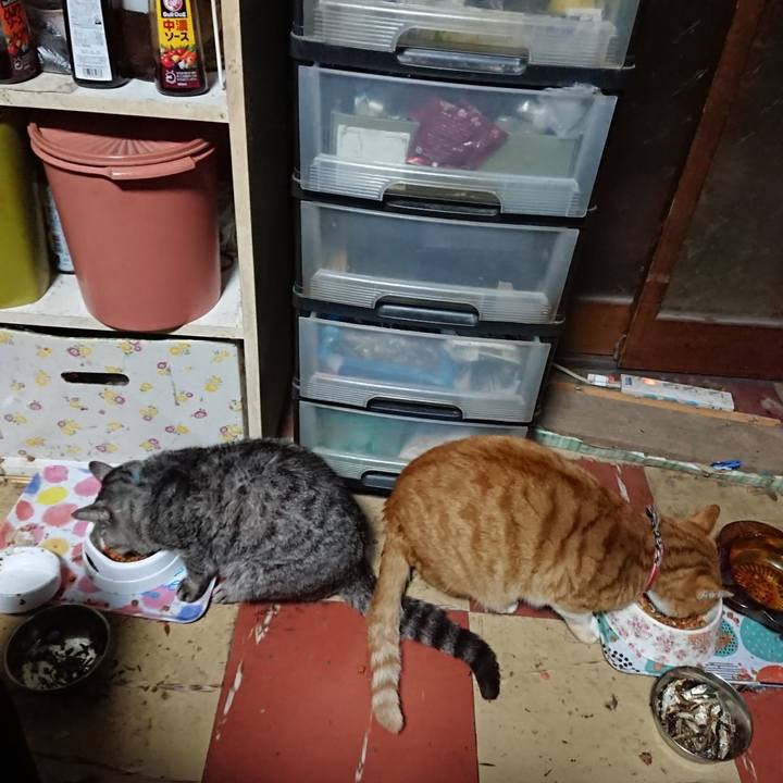 E39c2931 e1b6 4eb1 a563 c6036663d57d 1573849663596