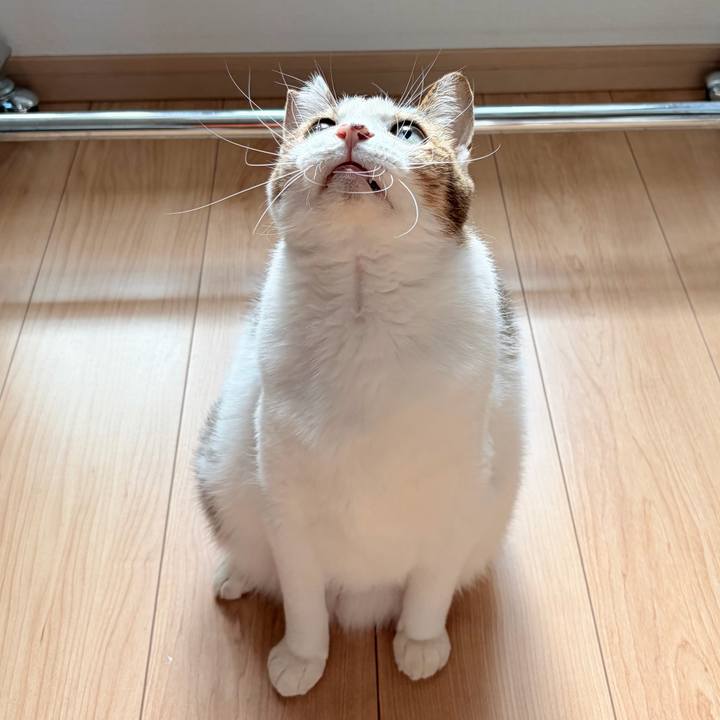 E39c5024 7851 4796 9cb4 08b0df6605da 1765241219410