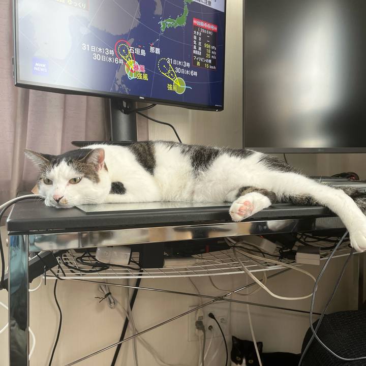 E39c5941 ebc9 47ac 8ca6 63cec4339097 1693358320278