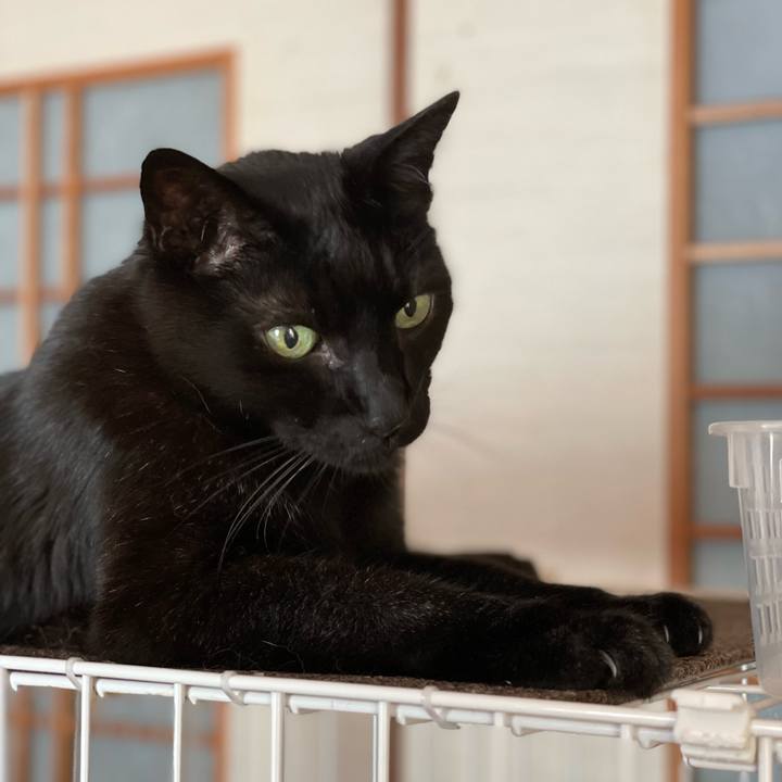 E39c63ba 8f55 47f3 ad94 1048233ca1b6 1657330712121