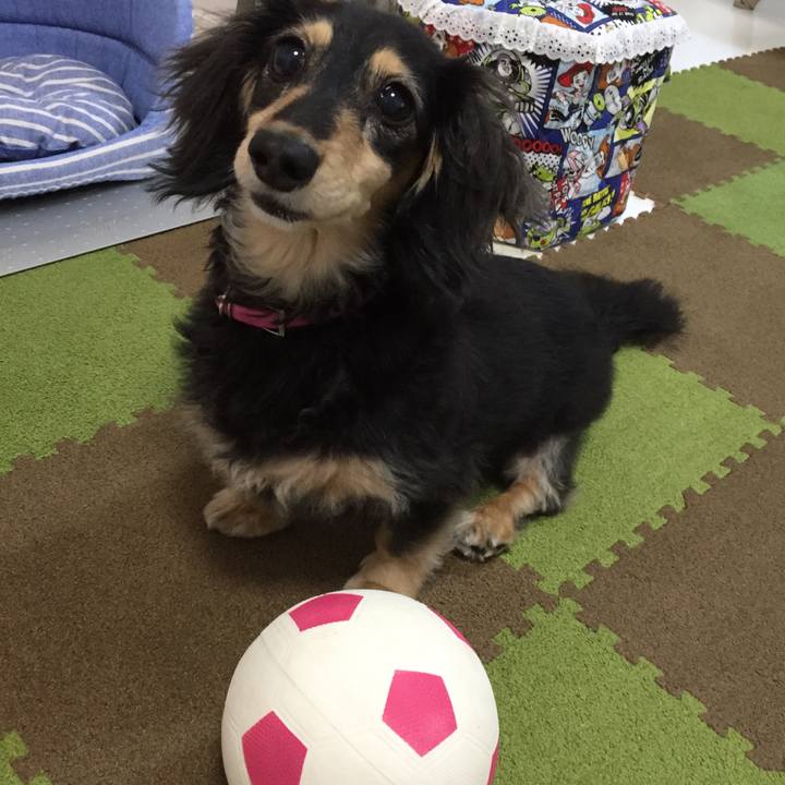 E39c76af 9774 45e0 94d7 7e7eee9c6f23 1530537424797