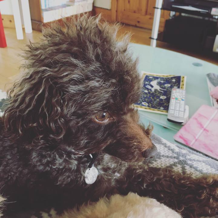 E39cabc1 73a4 4142 937b 67aee4e81cf1 1581244057303