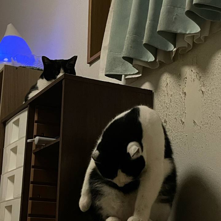 E39cc347 ec7d 489f 9d4c a81cf81e836e 1703761037829