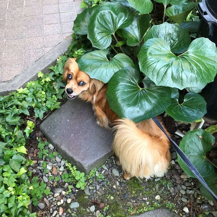 E39ccd23 8bb1 45da 97a7 5eef38ec7deb 1527898986820