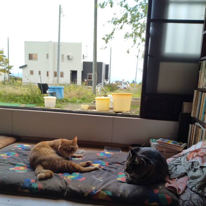 E39cfb0a 5bc3 4d37 b88b 8aac02918822 1666237815329