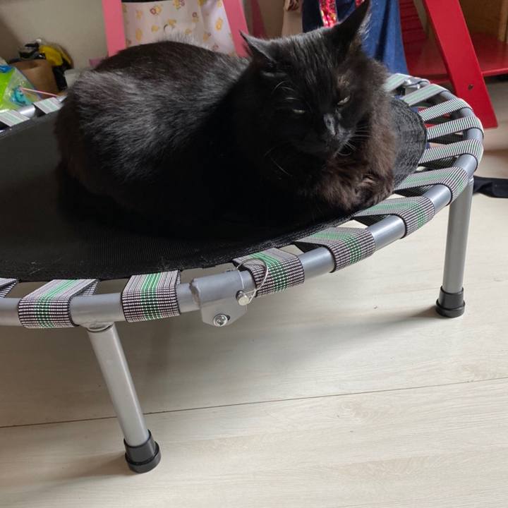 E39d3c63 2df4 4d6b a9f8 5aa2c7e82031 1589778809093