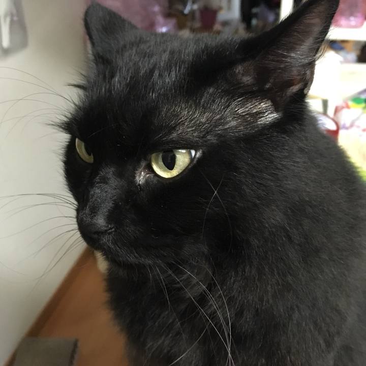 E39d5e45 8035 47bc 81c9 3e1fb90a4d0f 1536327462403