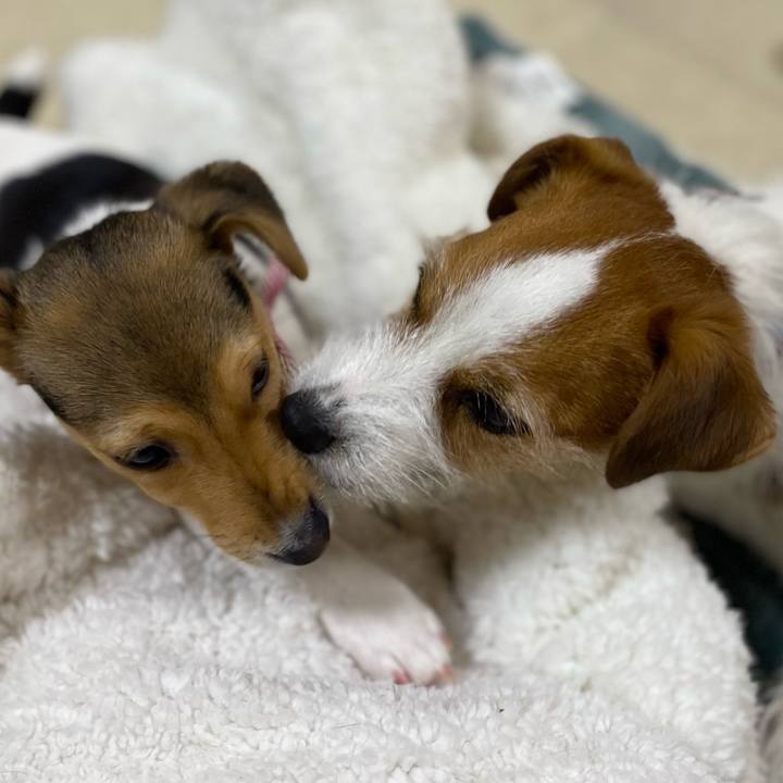 E39d74b8 cdb7 42b7 a983 8a2446764e35 1744983575980