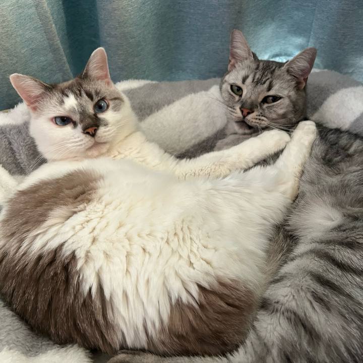 E39d7b64 9f99 441d a4db 8a77c157a3d6 1763200777686