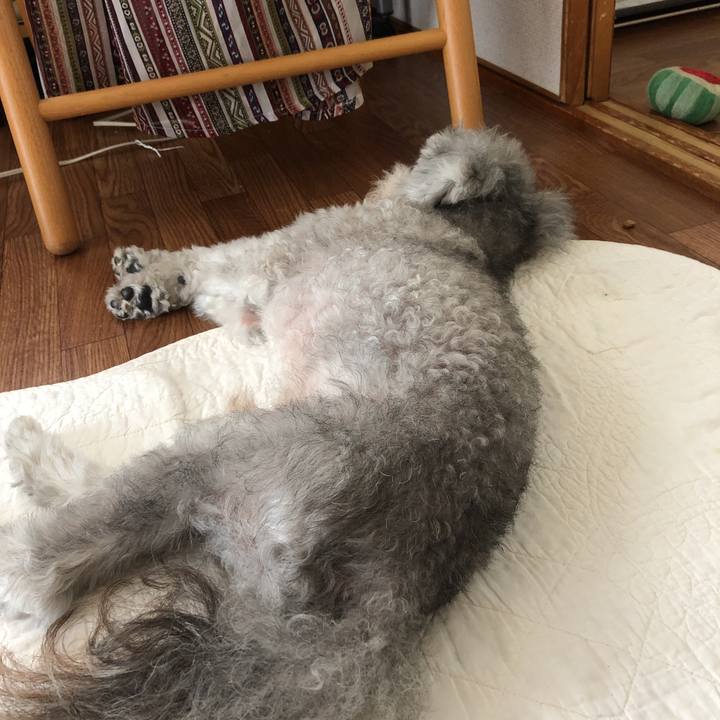 E39da451 a3ca 4fce 9831 e3ed99795fb3 1567745699847